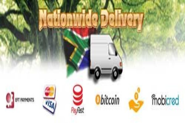 Hydroponic.Co.Za