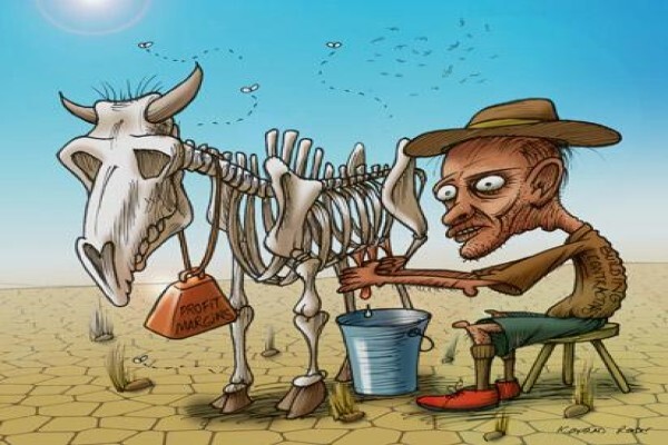 Konrad Rode Cartoonist