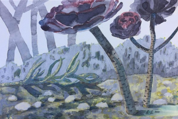 Storyboards By Lizza Littlewort