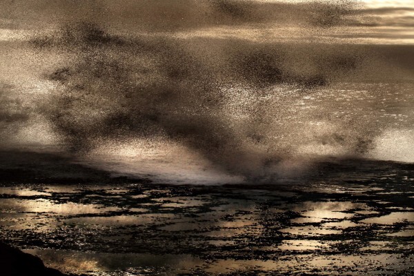 Digital Xposure Photography