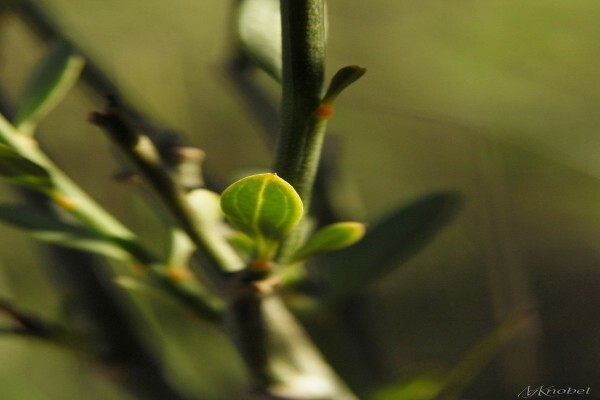 Digital Xposure Photography