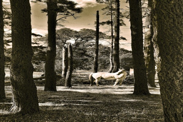 Digital Xposure Photography