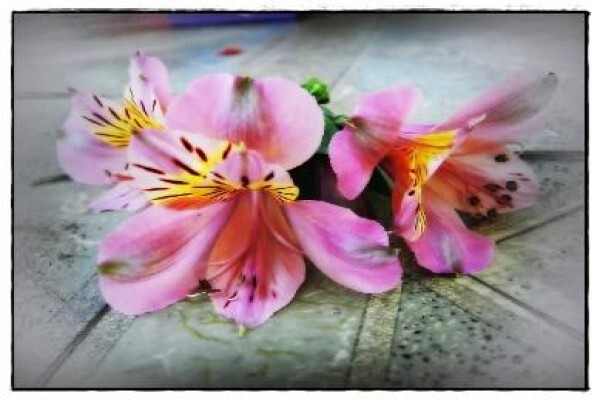 Happy Snapz Photography