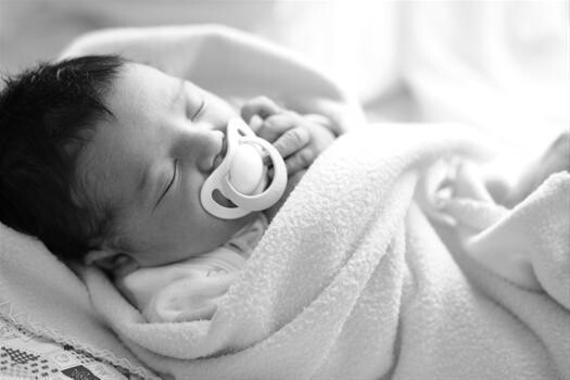 Jeanine Bresler Photography