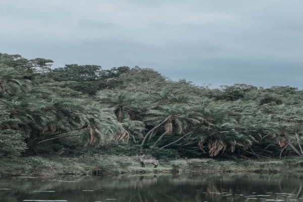 Shannon Bradfield Photography