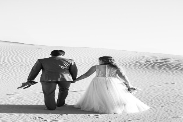 Shannon Bradfield Photography