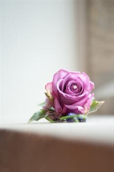 Stephen Hansford Wedding Photography