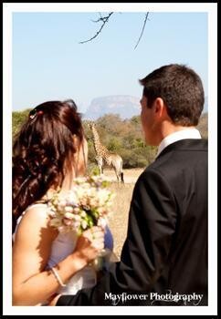 Mayflower Wedding Photography