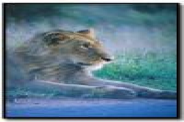 African Safari Pictures