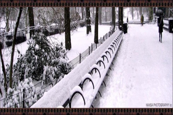 Hansa Photography