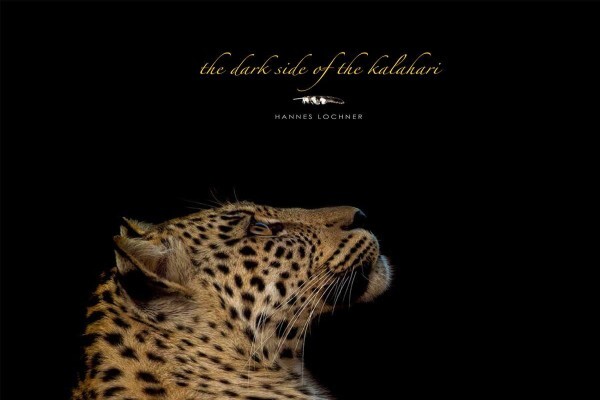 Hannes Lochner Wildlife & Nature Photography