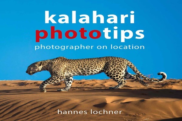 Hannes Lochner Wildlife & Nature Photography