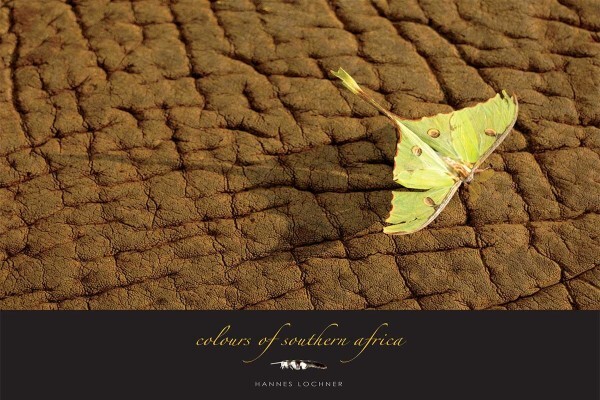 Hannes Lochner Wildlife & Nature Photography