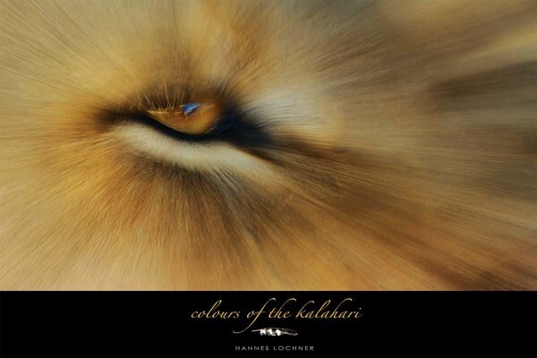 Hannes Lochner Wildlife & Nature Photography