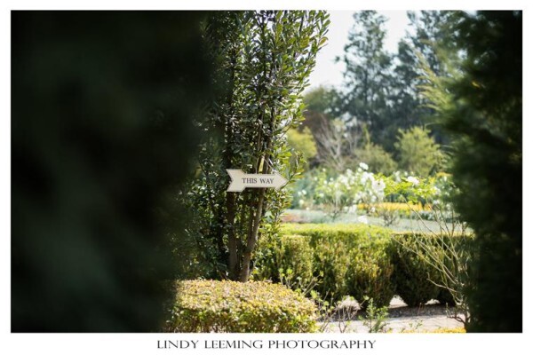 Lindy Leeming Photography