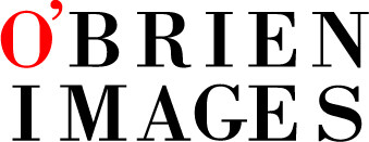 Product Photographer