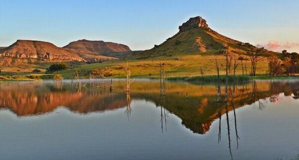 Suzette Heyns Photography