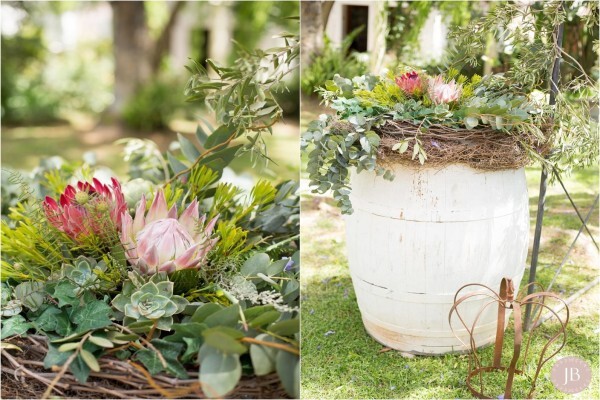 Janine Vermeulen Photography