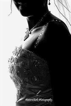 Pieter Clark Photography