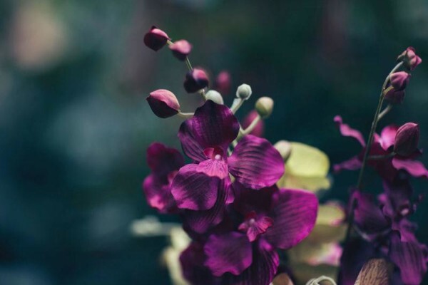 X-Quisite Photography
