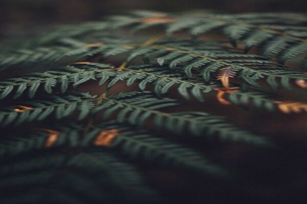 X-Quisite Photography