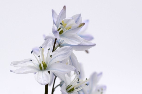X-Quisite Photography