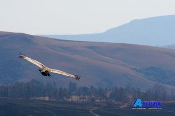 Aerovis Imaging