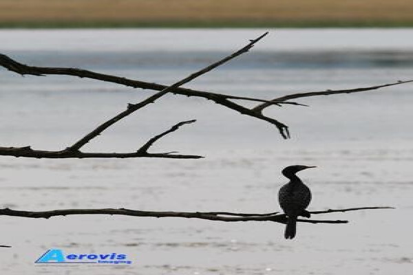 Aerovis Imaging
