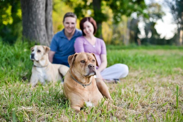 Helette Du Toit Photography