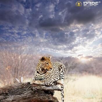 123Rf South Africa