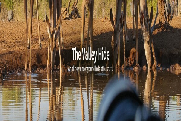 C4 Photo Hides