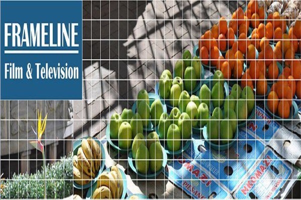 Frameline Film And Television