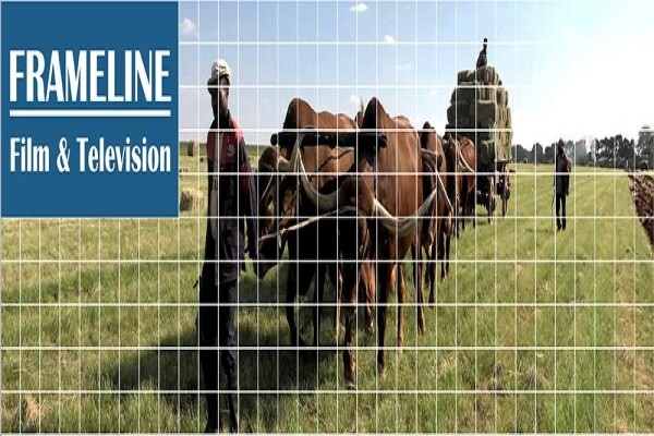 Frameline Film And Television