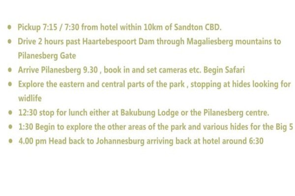 Khaki Weed Photographic Safaris