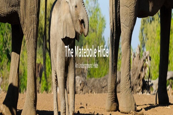 C4 Photo Hides