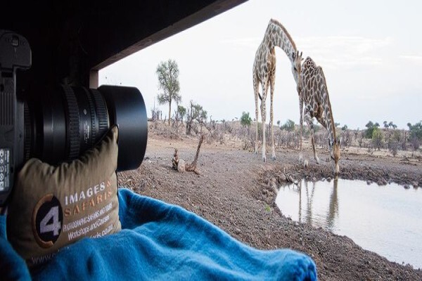 C4 Photo Hides