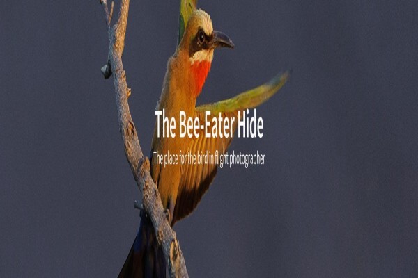 C4 Photo Hides
