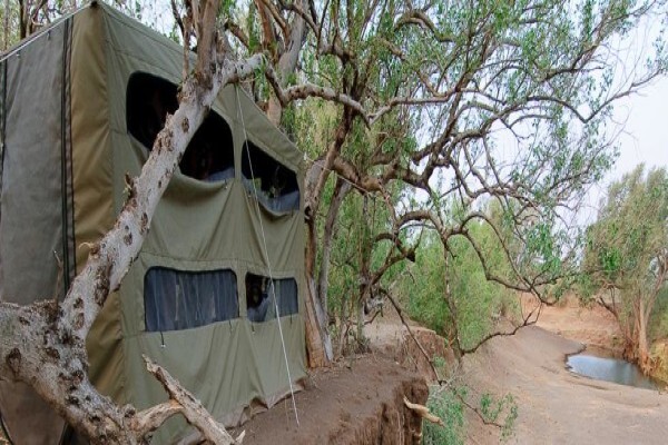 C4 Photo Hides