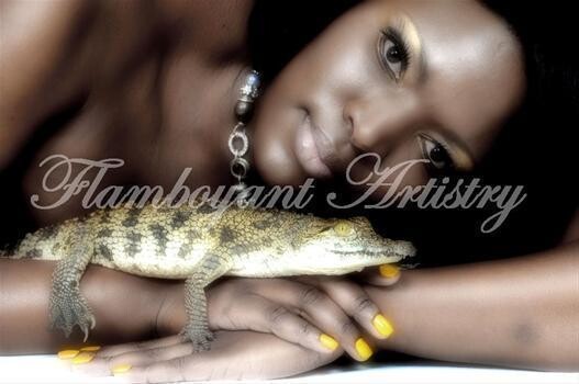 Flamboyant-Artistry