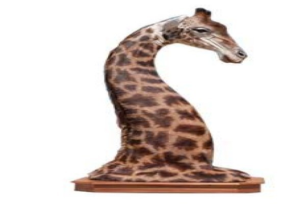 Magnum Taxidermy