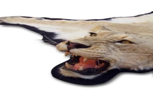 Magnum Taxidermy
