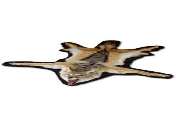 Magnum Taxidermy