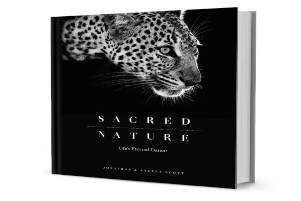 Hph Publishing
