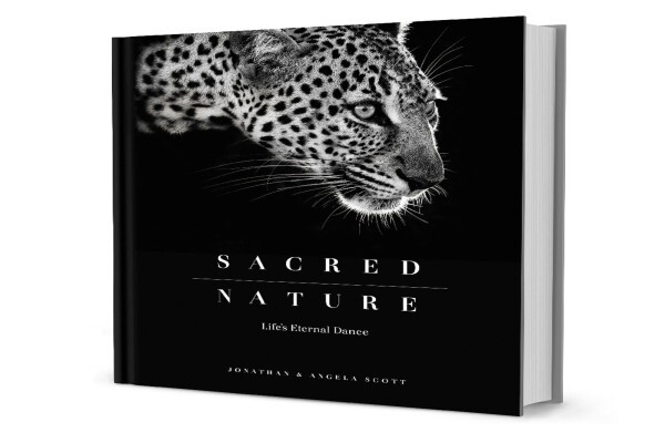 Hph Publishing