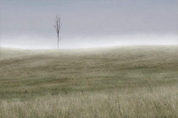 Maritzburg Camera Club
