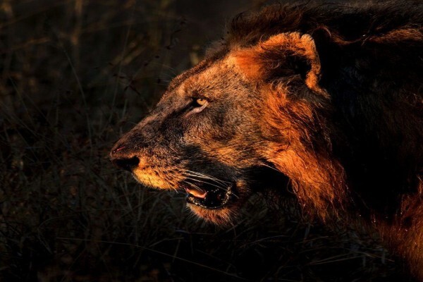 Maritzburg Camera Club