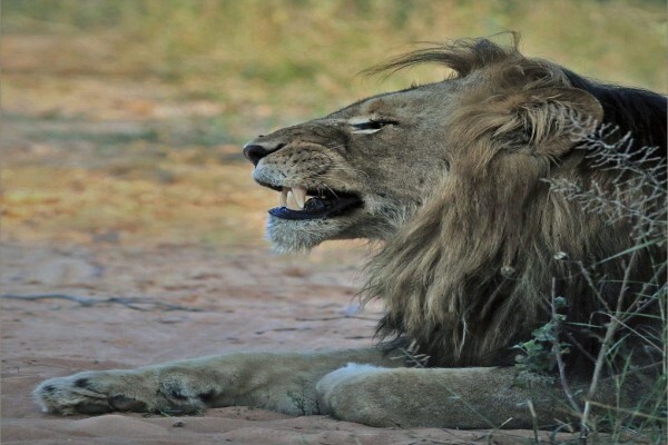 Maritzburg Camera Club