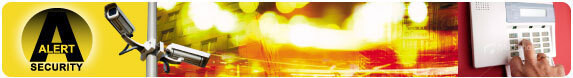 Alert Security Systems