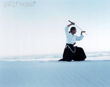 Mushindo Aikido School Of Samurai Martial Arts