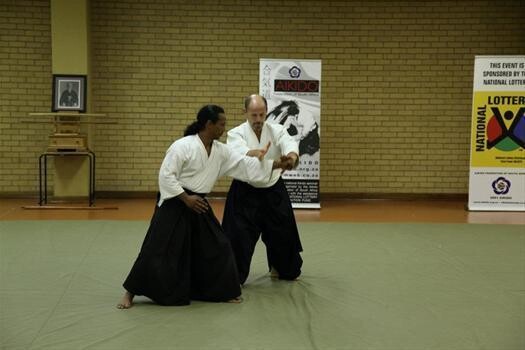Mushindo Aikido School Of Samurai Martial Arts